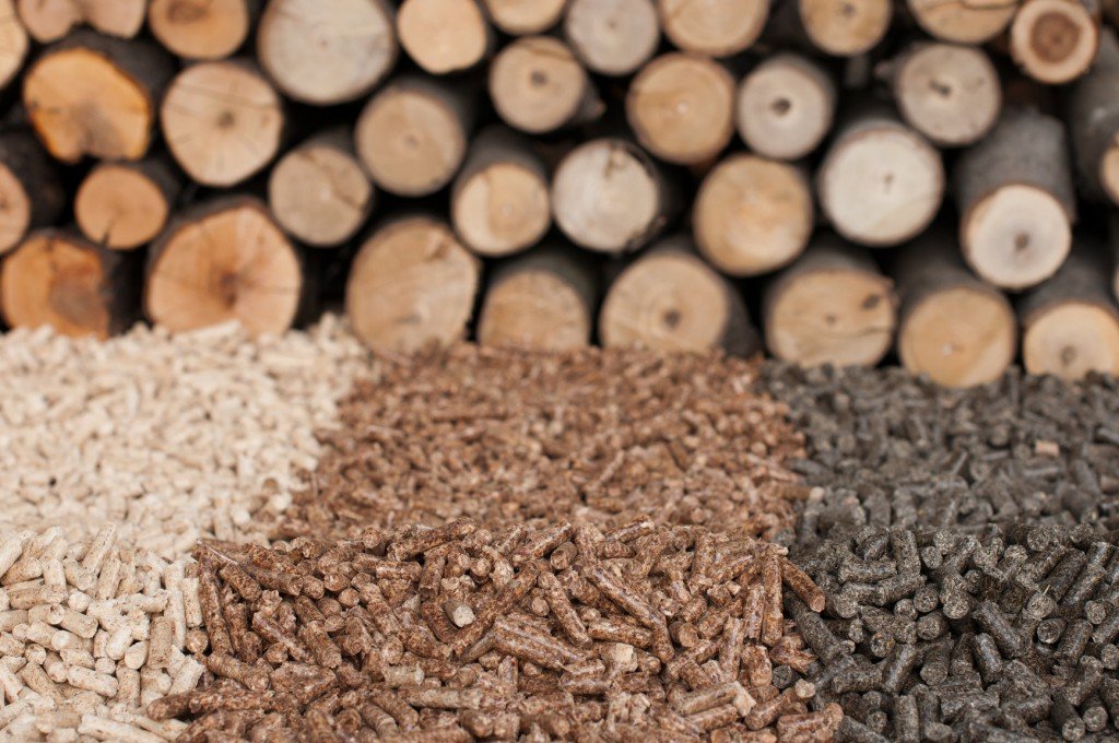 Biomass Wood