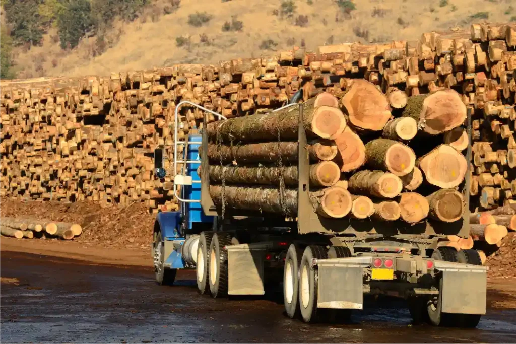 WOOD LOGISTIC SERVICES